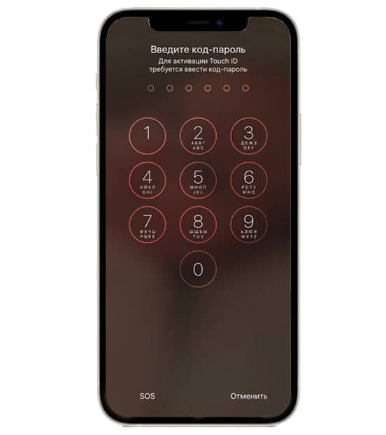 Снятие пароля iPhone 12 Pro